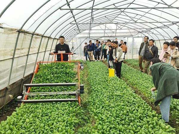 选择省力科技叶菜收割机十大理由