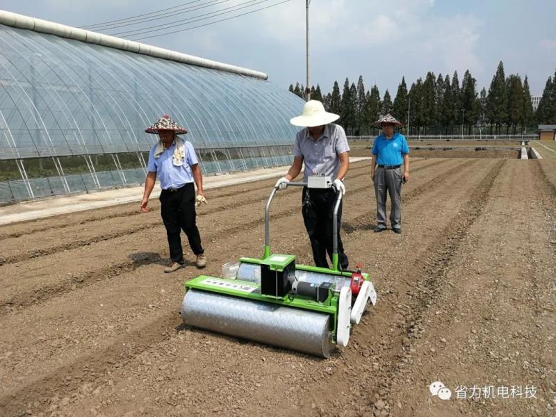 省力科技电动蔬菜播种机在南京试播“黄玫瑰白菜”