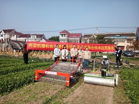 南通省力科技“荠菜生产全程机械化解决方案”获专家认可