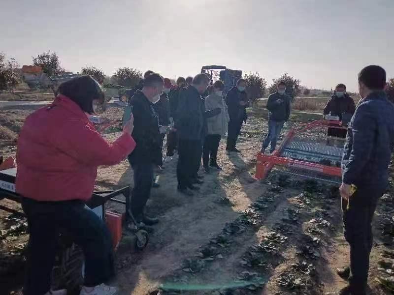 南通省力科技，努力为南通特色蔬菜全程机械化提供解决路径