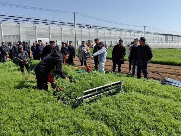 省力科技三款蔬菜生产设备入选部总站先进适用装备目录