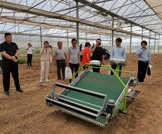 省力科技自动驾驶叶菜收割机亮相江苏设施蔬菜田间日活动