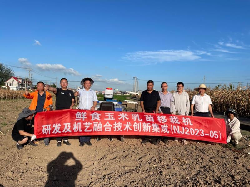 “鲜食玉米乳苗移栽机研发及机艺融合技术创新集成”项目在南通组织田间试验