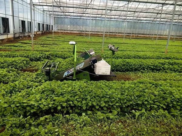 省力科技参与“设施绿叶类蔬菜全程机械化生产关键技术及装备”项目获江苏省科学技术奖一等奖！
