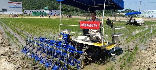 种植高品质稻米，为什么选择省力科技除草机
