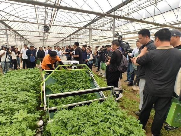 省力科技参加江苏省设施果蔬绿色智能装备现场作业与交流培训会