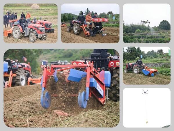 省力科技红薯机械与温州薯农“比武”