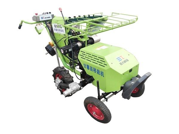 省力科技2ZG-1D甘薯扦插苗自动移栽机